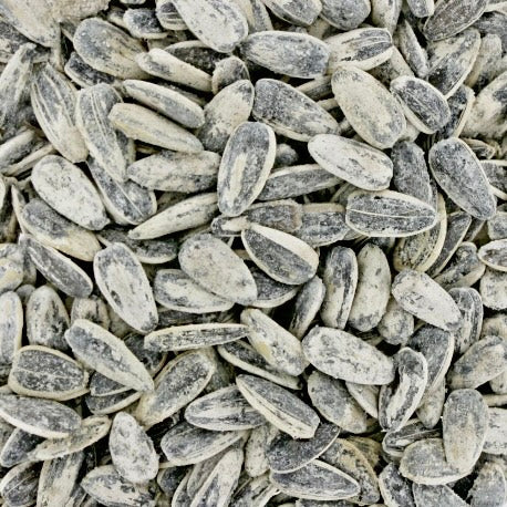 GRAINES DE TOURNESOL GRILLÉES