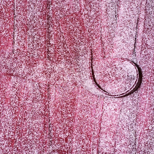 BANDOS RAISIN (100gr)