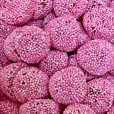 MÛRE ROSE